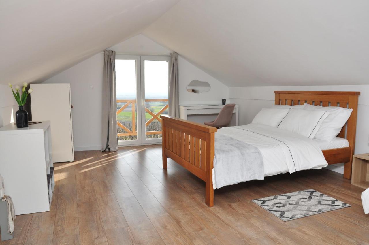 Holiday Home Vinovilla Kutjevo エクステリア 写真
