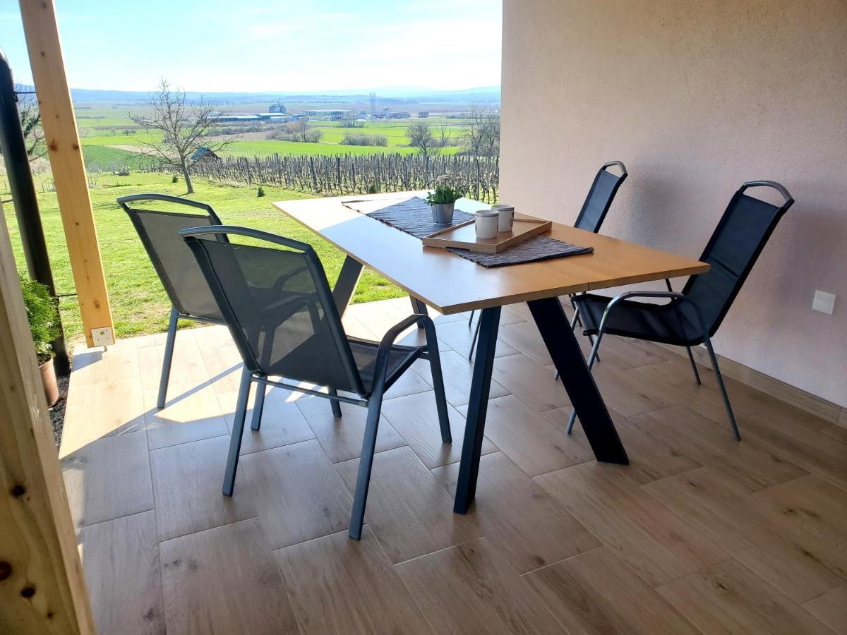 Holiday Home Vinovilla Kutjevo エクステリア 写真