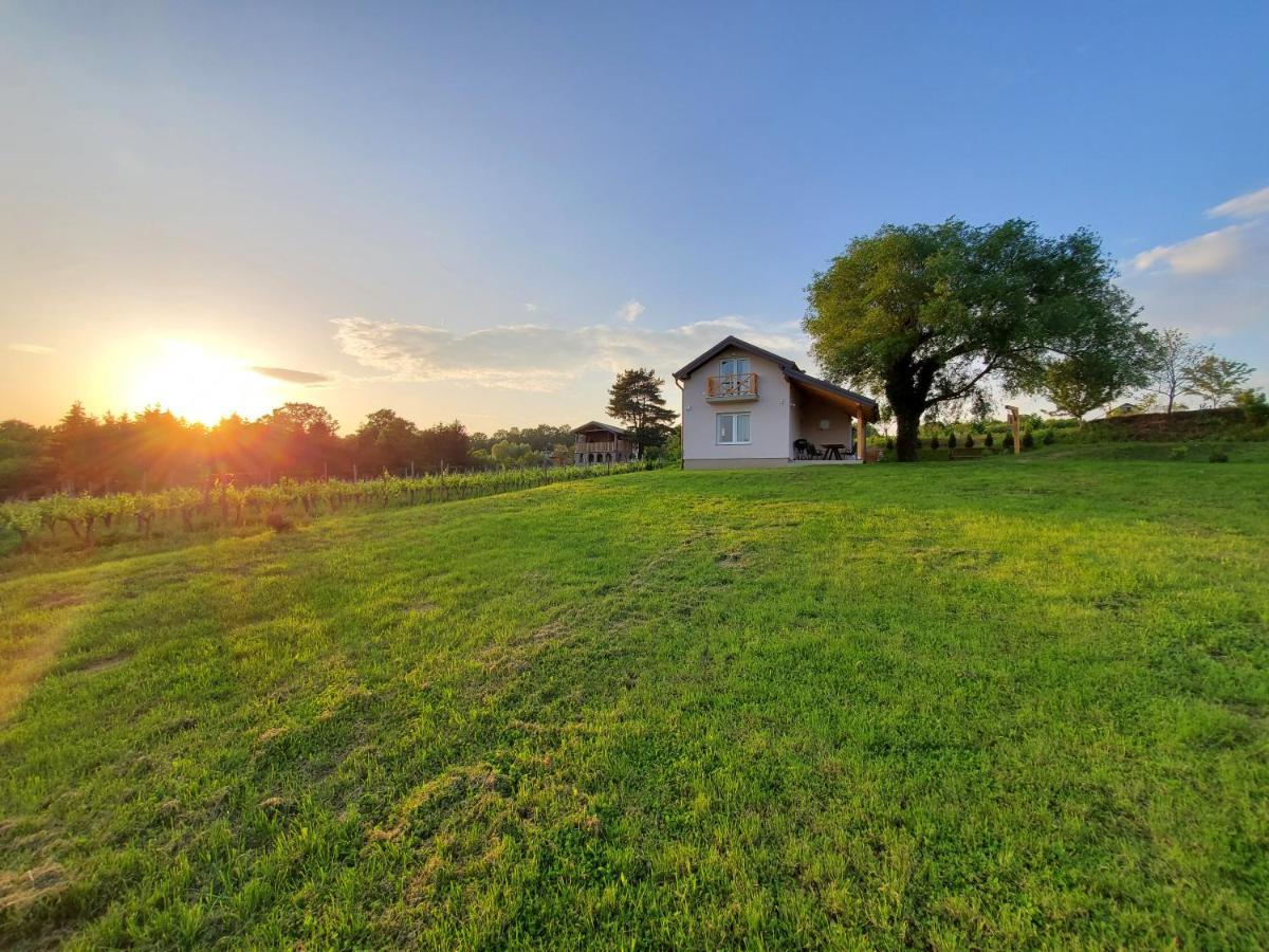 Holiday Home Vinovilla Kutjevo エクステリア 写真