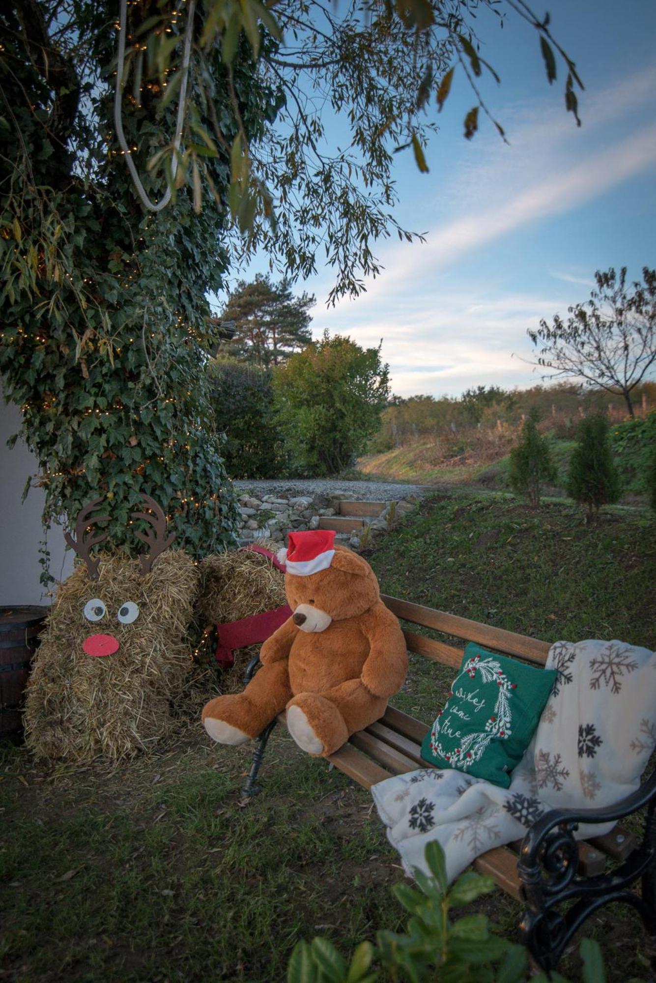 Holiday Home Vinovilla Kutjevo エクステリア 写真