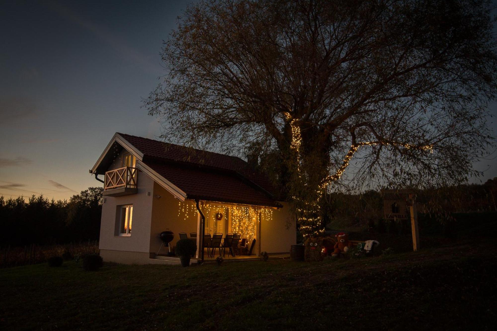 Holiday Home Vinovilla Kutjevo エクステリア 写真
