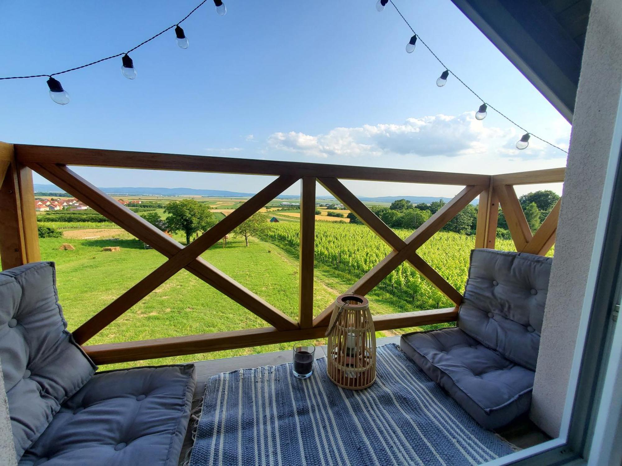 Holiday Home Vinovilla Kutjevo エクステリア 写真
